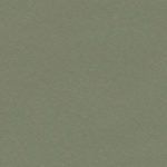 Oliven linoleum – 4184