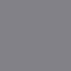 Platinium Grey – 10508274