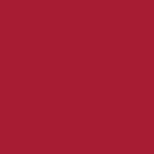 Hindbær Rød – 10400796